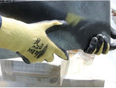 SUMMITECH PROFESSIONAL NV6 BK